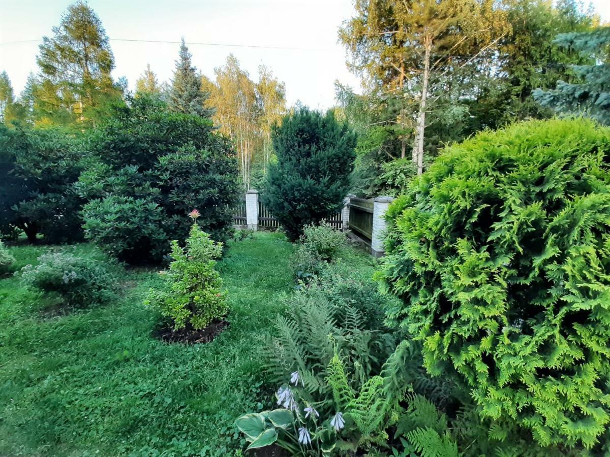 Willa Wadowicka Wadowice Exteriör bild