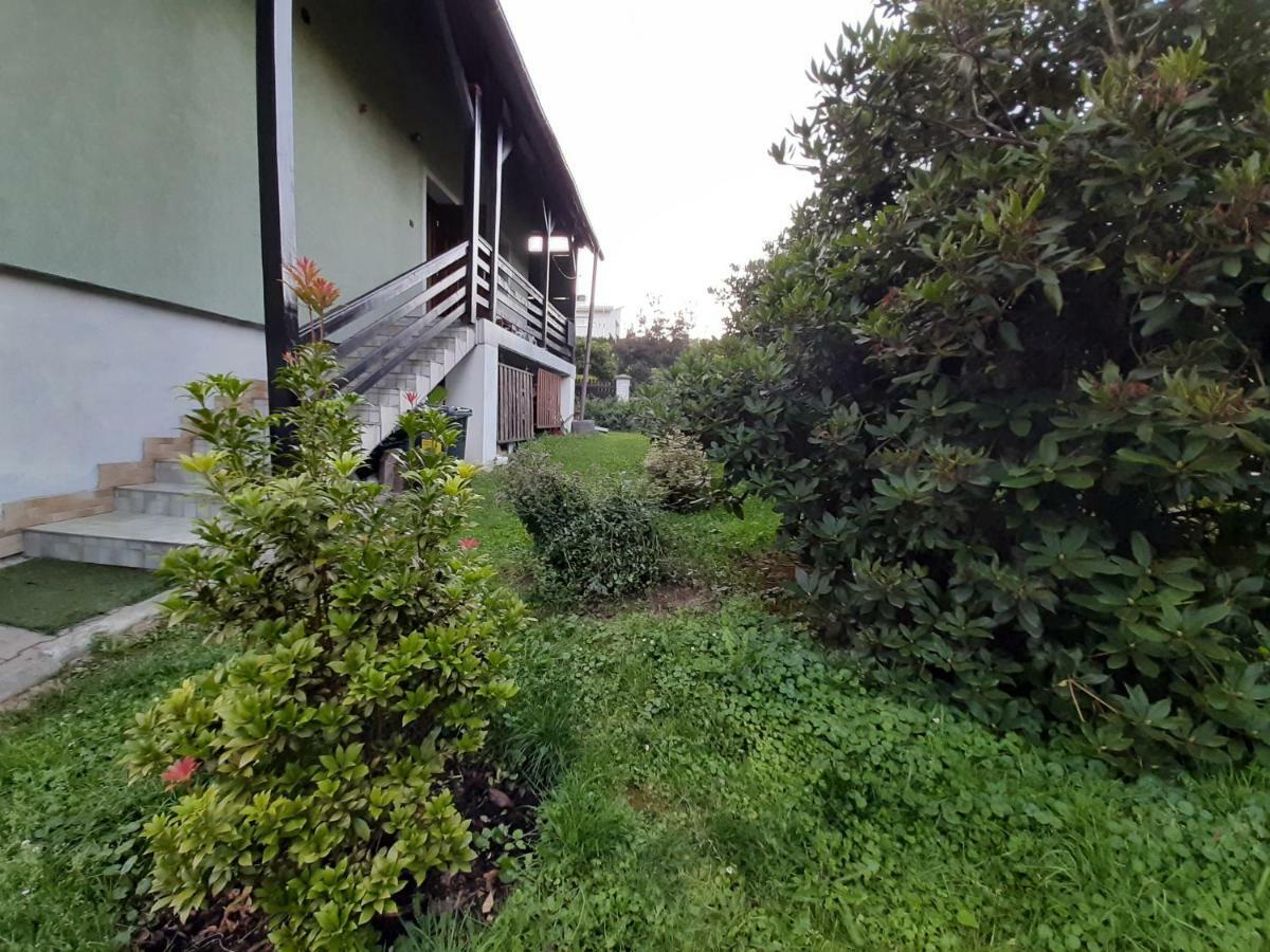 Willa Wadowicka Wadowice Exteriör bild